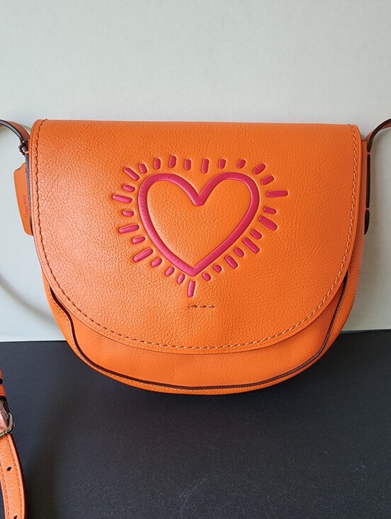 Coach Handbags - ✨️NWT✨️ Coach Keith Haring Limited Edition Hudson Crossbody, 2017, $395 MSRP